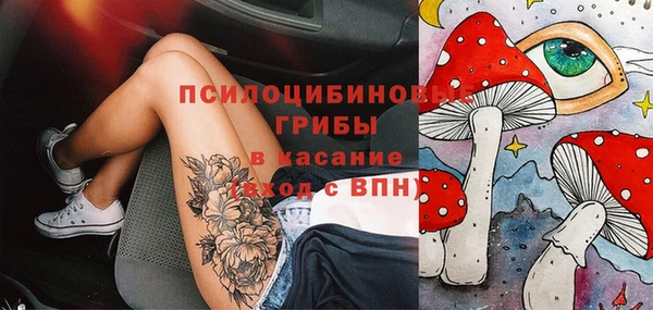 соль курить ск Алзамай