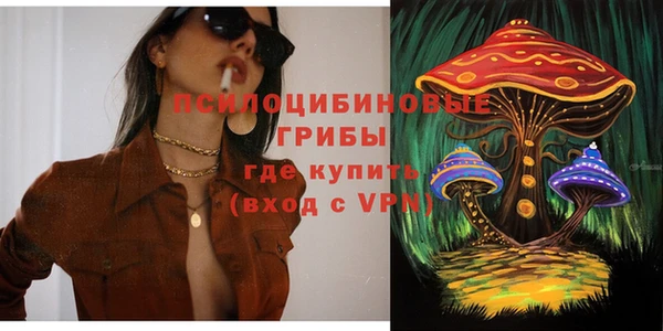 соль курить ск Алзамай
