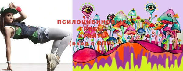 твердый Алексеевка